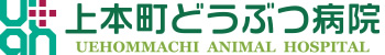 犬猫の病気・飼い主のための特設サイト｜大阪市天王寺区上本町の動物病院なら「上本町どうぶつ病院」へ。土日祝も夜8時まで診察、ペットホテルも完備。