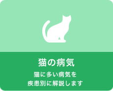 猫の病気